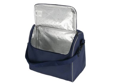 COOLER PICNIC PICARY 15 LTS - 5