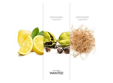 PERFUME AZZARO WANTED HOMBRE EDT 100 ML - 5