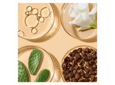 CONTORNO DE OJOS ESTÉE LAUDER ANTIEDAD NUEVO REVITALIZING SUPREME+ 15 ML - 2