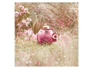 PERFUME COACH WILD ROSE MUJER EDP 30 ML - 7