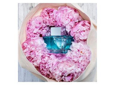 PERFUME ANTONIO BANDERAS BLUE WOMAN 50 ML - 4