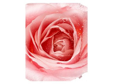 AGUA MICELAR GARNIER ROSAS 400 ML - 6