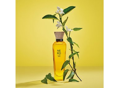 PERFUME ADOLFO DOMÍNGUEZ NEROLI MUJER EDT 120 ML - 6