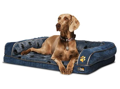 CAMA MASCOTA CIC PET DREAMS ACOLCHADA MEDIUM - 4