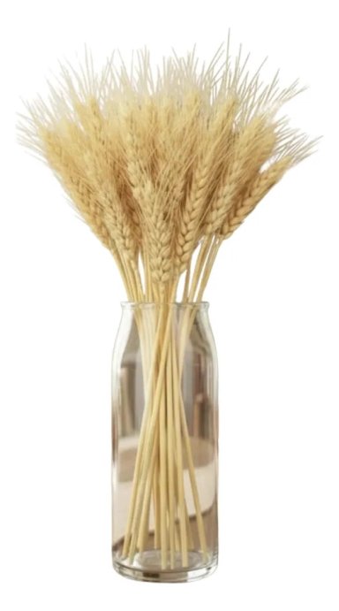 RAMO ESPIGAS SECAS NATURALES DECORACION ESTILO NORDICO AJ - 1
