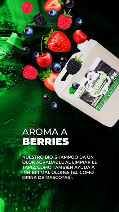 KIT LAVADO EN SECO +SHAMPOO DE TAPIZ + GRATIS ECORACER - 2