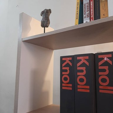 LIBRERO PARA ARCHIVADORES Y LIBROS - 6