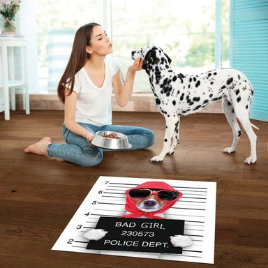 ALFOMBRA VINÍLICA PET BAD DIVA LADY DOG  70X70 CM - 2