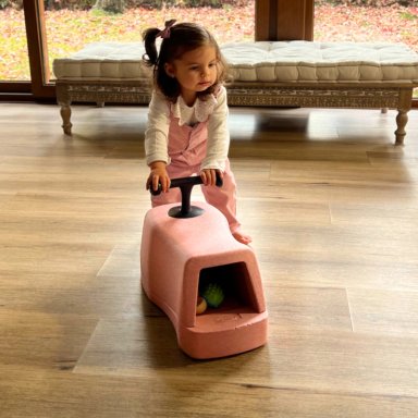 POLY GO CAMINADOR BEBE S NIÑOS 4 EN 1 MATERIAL SEGURO - 1