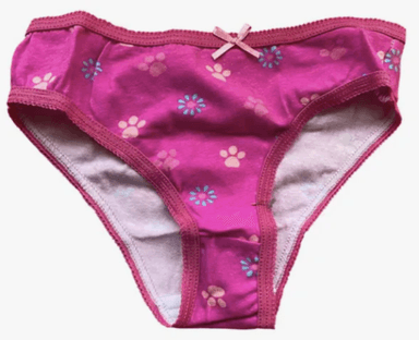 CALZONES DE NIÑA TALLA 8 TRIPACK (3 UNIDADES) DISEÑO SKYE PAW PATROL - 3