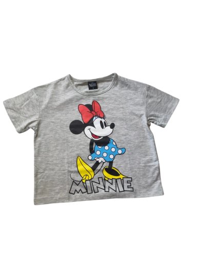 POLERA MINNIE MOUSE TALLA 4 - 2