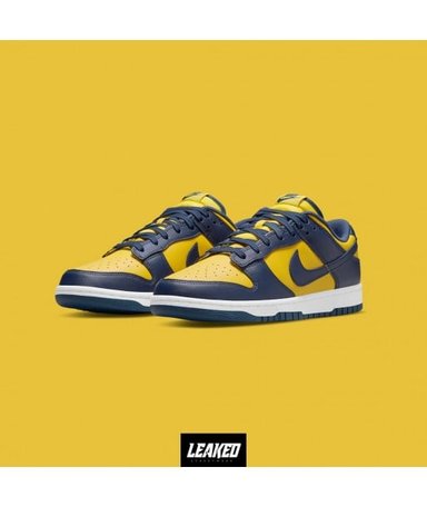 ZAPATILLAS NIKE DUNK LOW MICHIGAN JUVENIL - 1