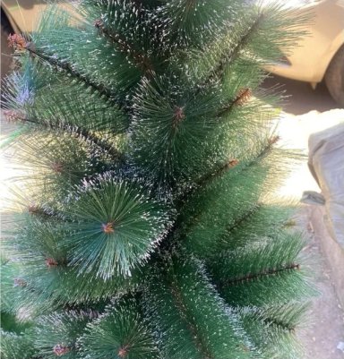 ARBOL DE NAVIDAD ARTIFICIAL VERDE 180CM CON NIEVE - 1