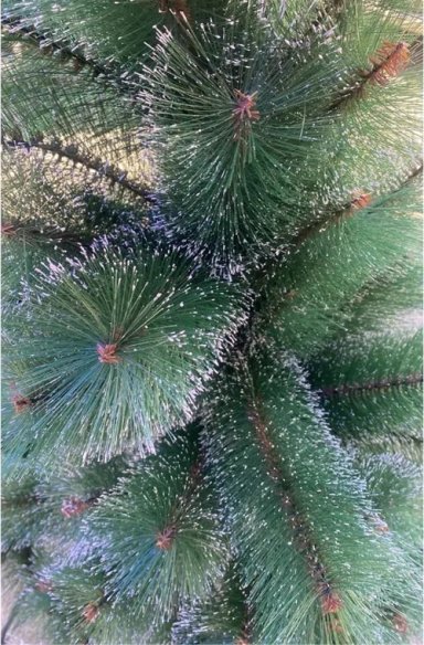 ARBOL DE NAVIDAD ARTIFICIAL VERDE 180CM CON NIEVE - 2