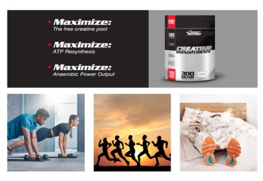 PROTEINA BULK MASS GAIN WHEY 5 LBS VAINILLA + INNER ARMOUR CREATINA - 4