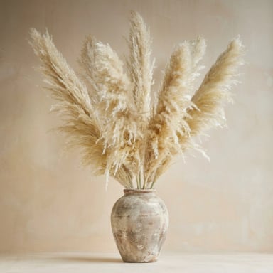 RAMO 10 PAMPAS SECAS VARAS COLAS DE ZORRO FLOR SECA DECO - 1