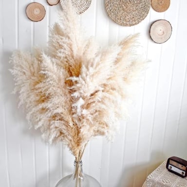 RAMO 10 PAMPAS SECAS VARAS COLAS DE ZORRO FLOR SECA DECO - 5