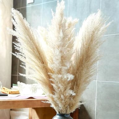 RAMO 10 PAMPAS SECAS VARAS COLAS DE ZORRO FLOR SECA DECO - 6