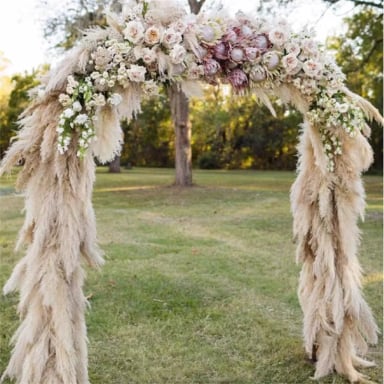 RAMO 10 PAMPAS SECAS VARAS COLAS DE ZORRO FLOR SECA DECO - 8