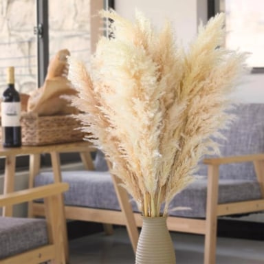 RAMO 10 PAMPAS SECAS VARAS COLAS DE ZORRO FLOR SECA DECO - 9