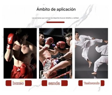 SACO DE BOXEO GRANDE PROFESIONAL CON CADENA DE ANCLAJE - 2