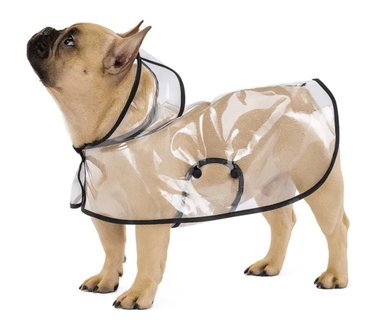 IMPERMEABLE TRANSPARENTE PARA PERRO M - 1