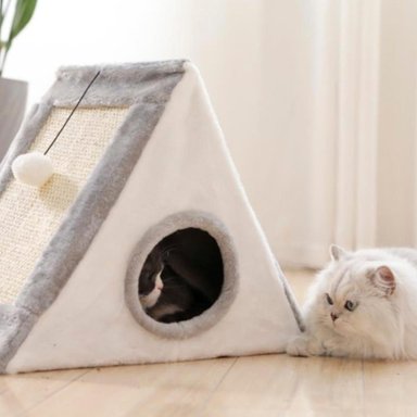 RASCADOR MADERA GATOS DE TODO Y MÁS GATO + CASITA Y POMPON MX27 - 4