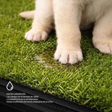 BAÑO PERROS GATOS PETWOOW R1032 ECOLÓGICO PET POTTY MASCOTAS - 9