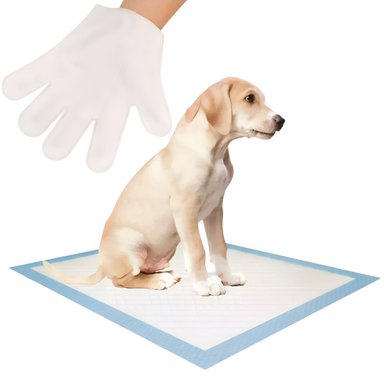100 SABANILLAS DE CARBONO 45X60 + 12 GUANTES PERROS MASCOTAS - 1