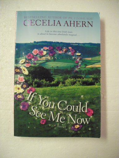 IF YOU COULD SEE ME NOW - 1