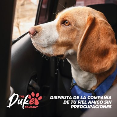 ASIENTO MASCOTAS AUTO REFORZADO DUKE - 9