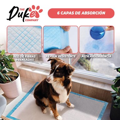 SABANILLAS DE ENTRENAMIENTO PERROS DUKE 6 CAPAS AROMÁTICAS 100 UNIDADES 60X60 - 6
