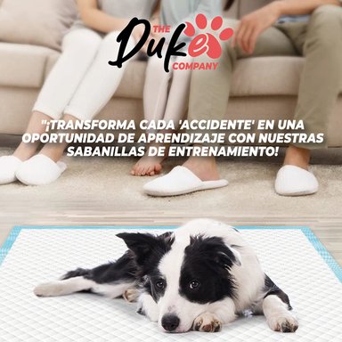 SABANILLAS DE ENTRENAMIENTO PERROS DUKE 6 CAPAS AROMÁTICAS 100 UNIDADES 60X60 - 9