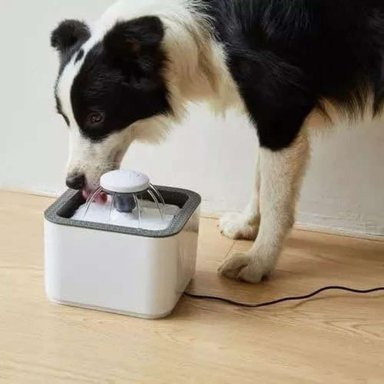BEBEDERO PERROS GATOS AUTOMÁTICO IMPORTADORA USA - 4