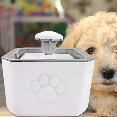 BEBEDERO PERROS GATOS AUTOMÁTICO IMPORTADORA USA - 6