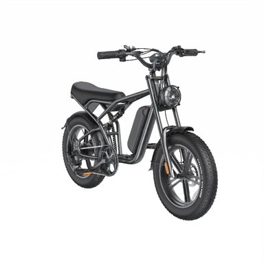 E-BIKE SHENGTE DYZ1500W BLACK 20X4 - 1