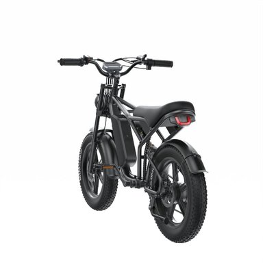 E-BIKE SHENGTE DYZ1500W BLACK 20X4 - 2