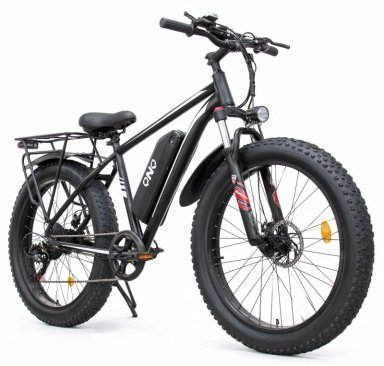 E-BIKE SHENGTE X26 SINGLE MOTOR 1000W - 1
