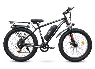 E-BIKE SHENGTE X26 SINGLE MOTOR 1000W - 2