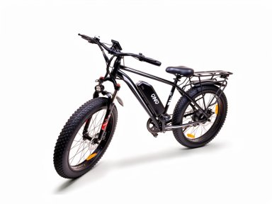 E-BIKE SHENGTE X26 SINGLE MOTOR 1000W - 3