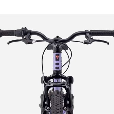 BICICLETA NIÑOS TREK PRECALIBER 20 7SP LILA - 5