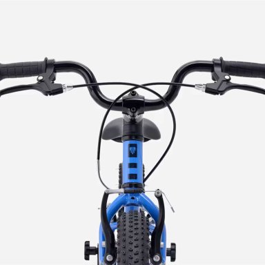 BICICLETA NIÑOS TREK PRECALIBER 16 FW AZUL - 5