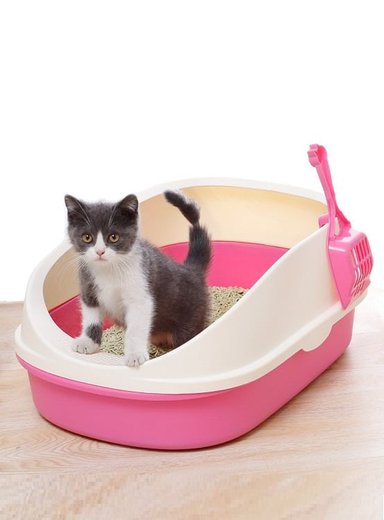 SET GATOS WINPET ARENERO ANTISALPICADURAS + PALA ROSADO 56 X 38 CM - 2
