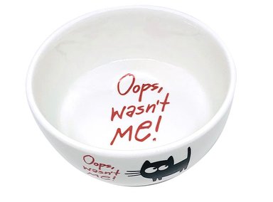 PLATOS GATOS CERAMICA OOPS ROSADO - 2