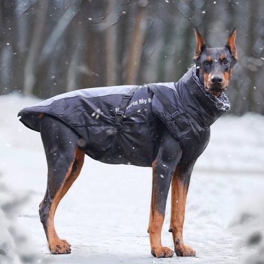 PARKA IMPERMEABLE PARA PERROS GRANDES REFLECTANTE Y CON ARNE S - 5XL - 2