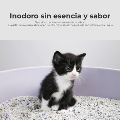 ARENA SANITARIA GATOS PIDAN PD1601O1 BENTONITA 6 KG - 3