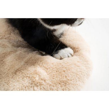 CAMA GATO PIDAN TIPO NIDO PAPA OSO - 3