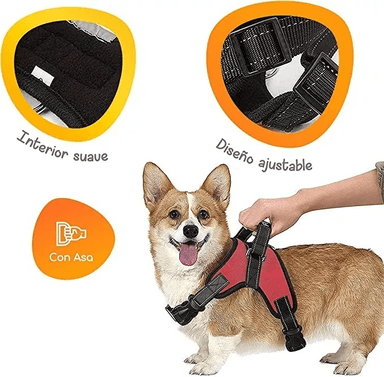 ARNÉS TALLA M, AJUSTABLE PARA PERROS MASCOTAS PASEO - 3