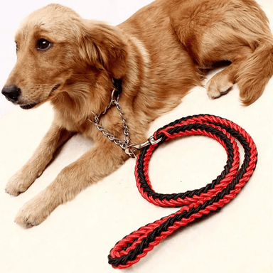 SET CORREA PERROS TRENZADA GRANDES + COLLAR AHORQUE XL ROJO NEGRO DEFENSOR FOREVER - 4