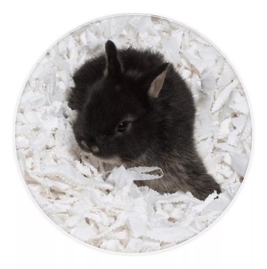 SUSTRATO DE PAPEL PREMIUM 900G HAMSTER CONEJOS ERIZOS RATÓN - 2